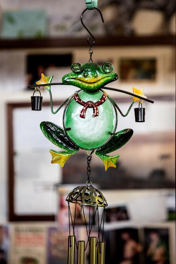 Albergue The Pickled Frog Hobart Exterior foto